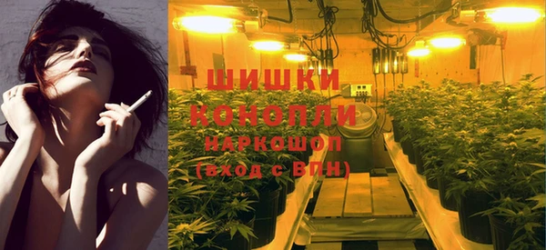 ГАЛЛЮЦИНОГЕННЫЕ ГРИБЫ Абаза