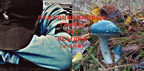 ГАЛЛЮЦИНОГЕННЫЕ ГРИБЫ Абаза
