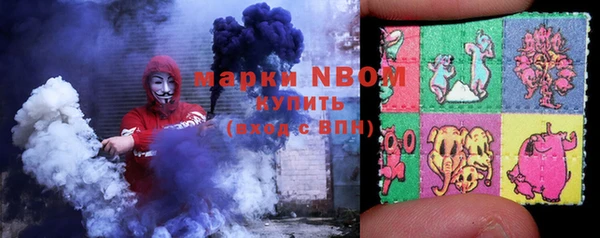 ГАЛЛЮЦИНОГЕННЫЕ ГРИБЫ Абаза