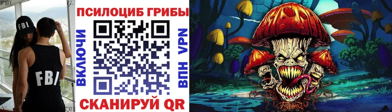 купить наркоту  Котельнич  Галлюциногенные грибы мухоморы 